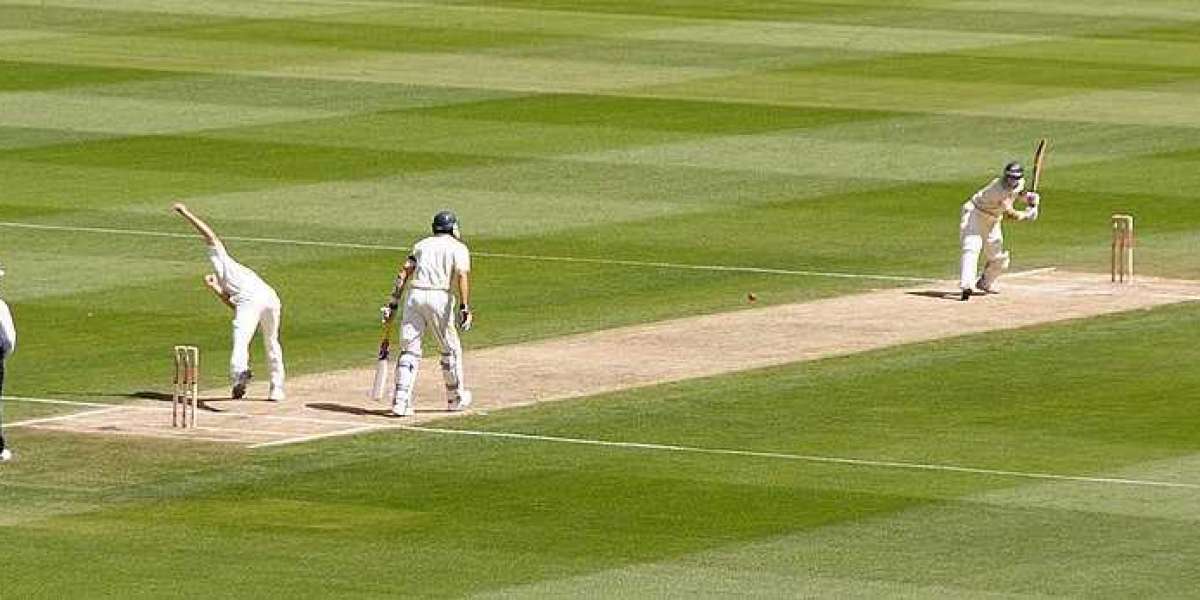 Navigating the World of Online : A Comprehensive Guide to Diamond Exchange for Cricket Lovers by 2025.