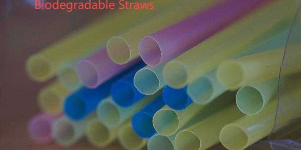 Why Polypropylene is a Top Straw Material
