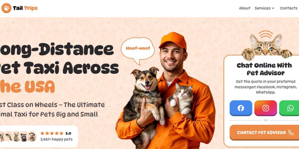 Pet Cab Service in the USA – Safe & Comfortable Pet Transportation | TailTrips