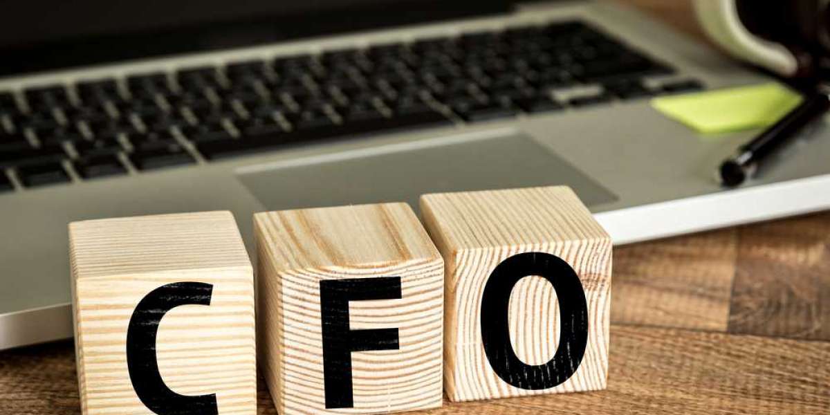 CFO for Small Business | Trusted Financial Help | Transition Consulting