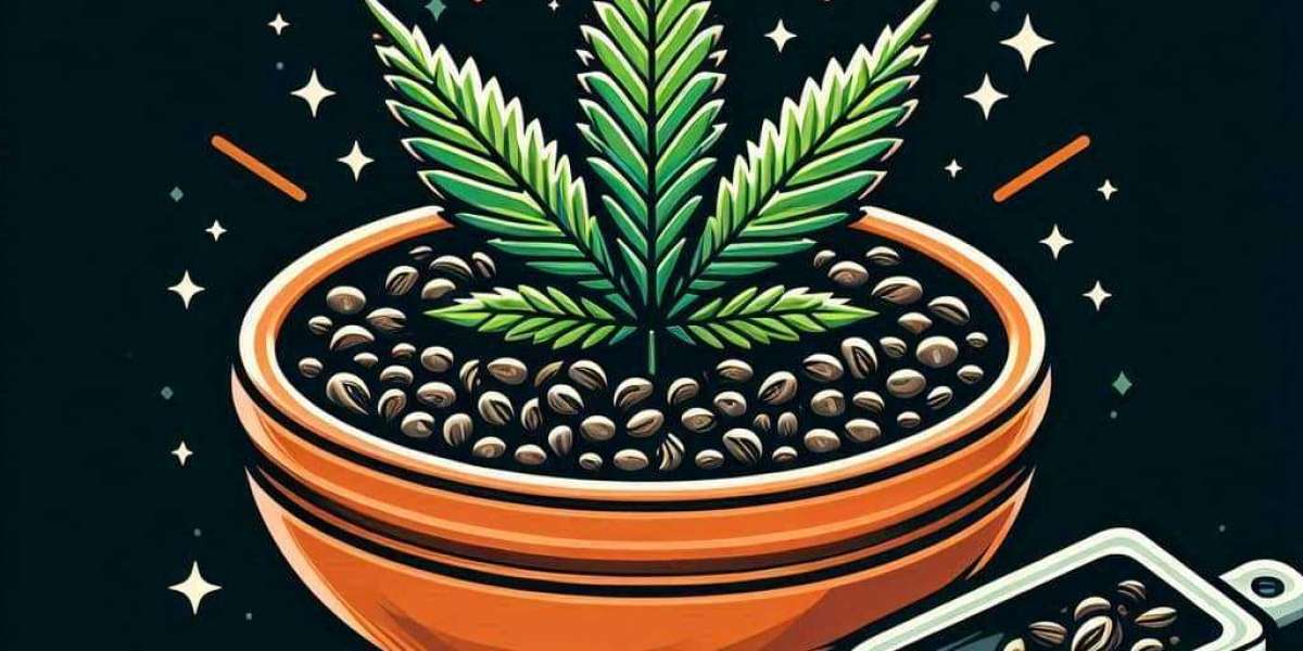 The Unique Leaf Pattern of the Jack Herer Marijuana Strain