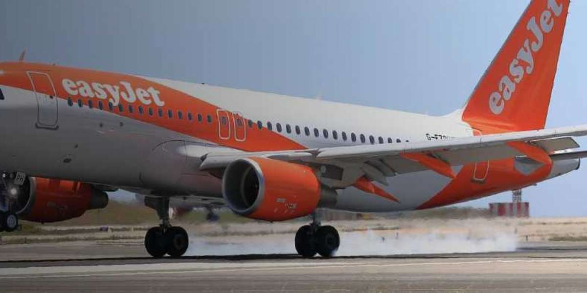 Experience Comfort and Convenience at the EasyJet Terminal in Nice