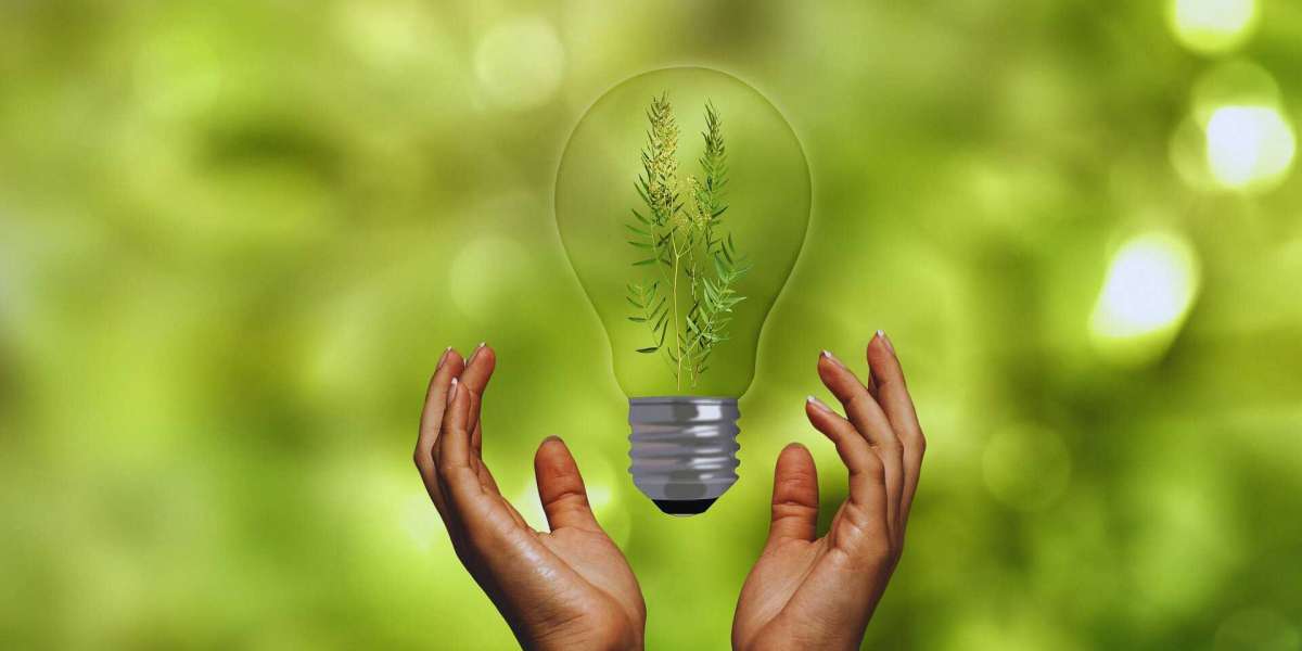 Top 10 Energy-Saving Devices to Lower Your Household Bills