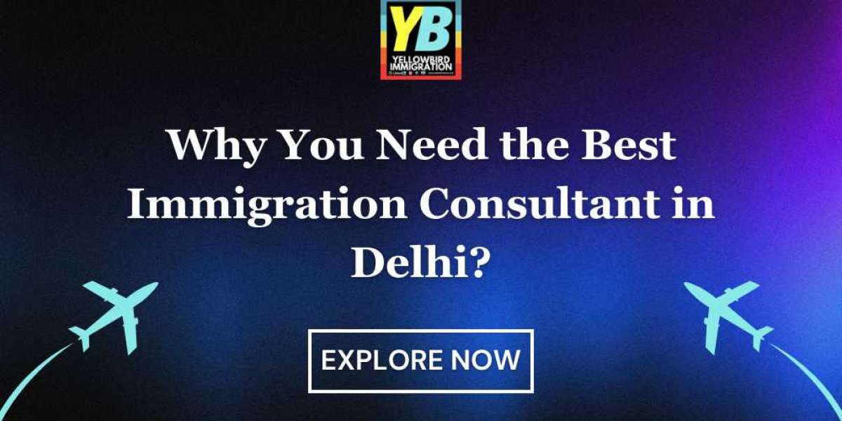Why You Need the Best Immigration Consultant in Delhi for a Smooth Visa Process