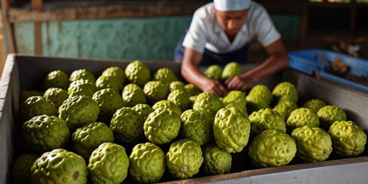 Prefeasibility Report on a Noni Processing Unit 2025: Plant Setup and Industry Trends