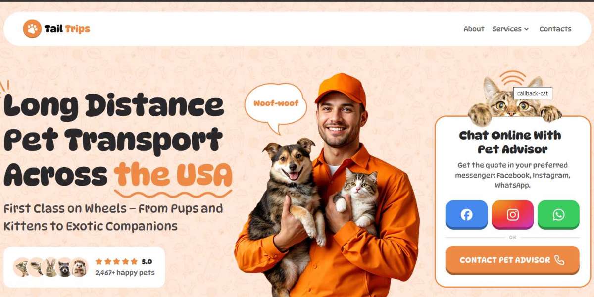 What is the Typical Cost of Shipping a Cat Across the USA?