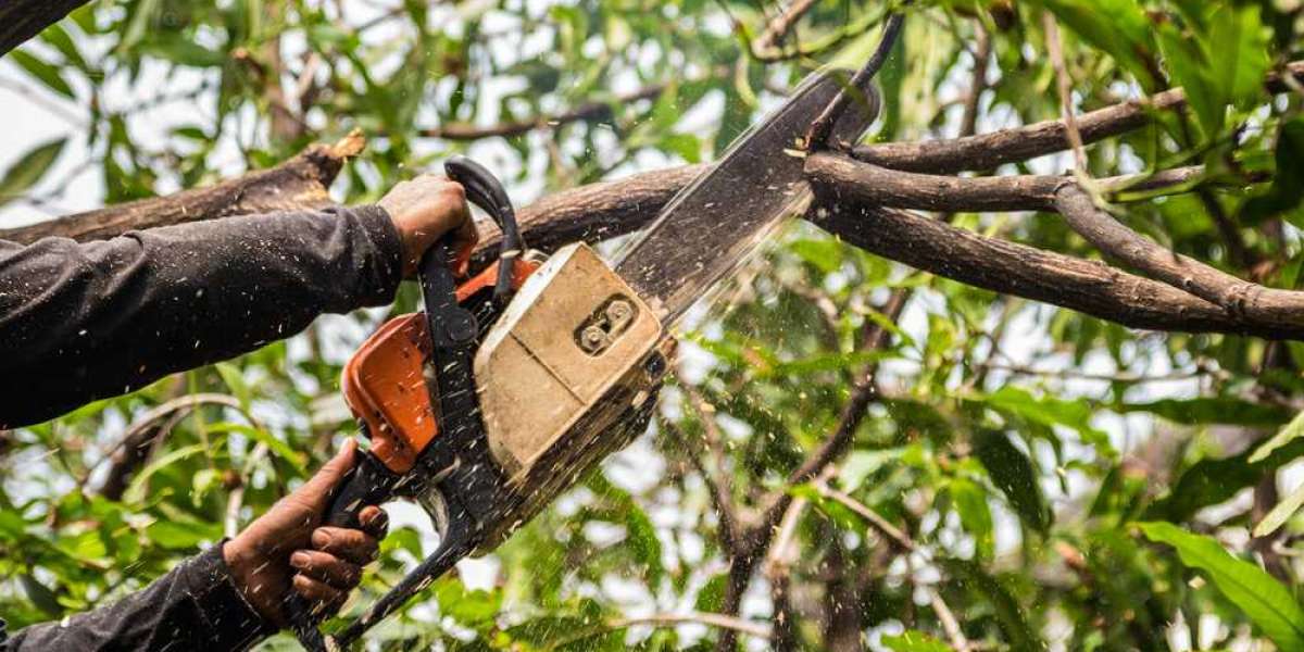 Top-Rated Affordable Tree Removal Houston – Fast & Safe!