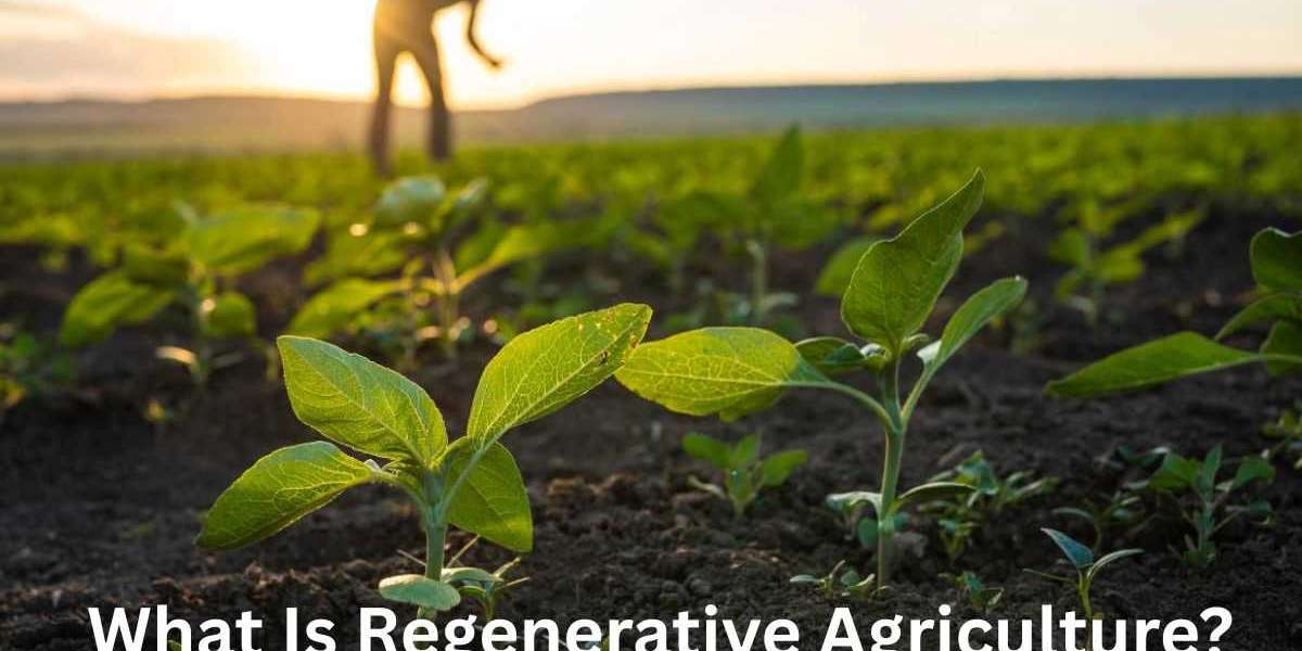 What Is Regenerative Agriculture? Benefits for Soil and Crop Yield