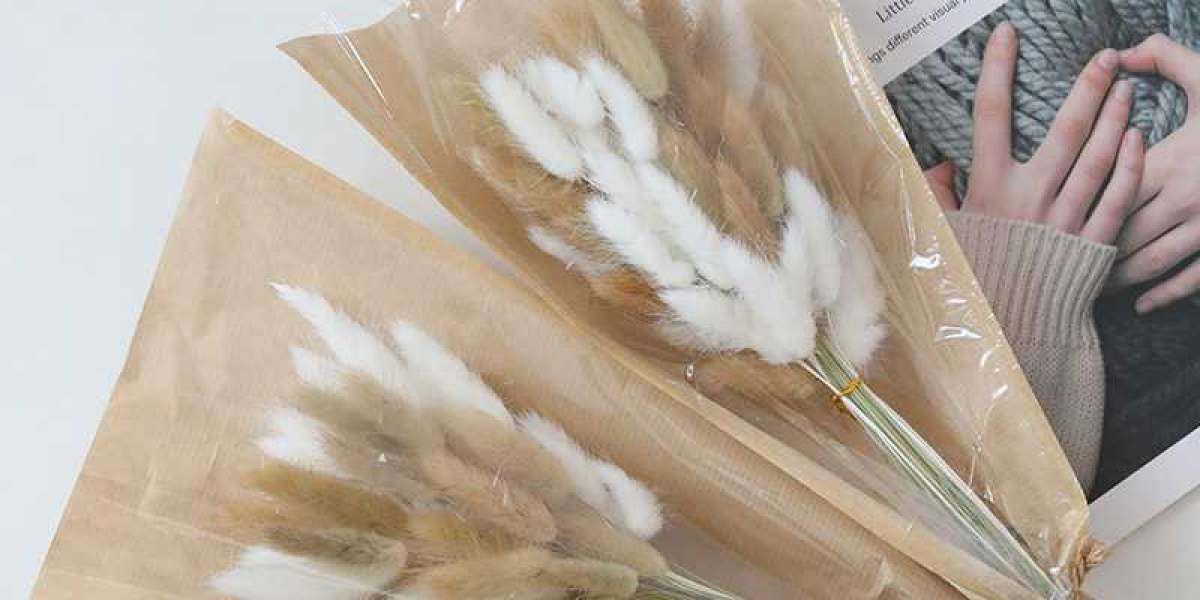 Preserved Flower Bunny Tail by Jasmine Flower: Soft Elegance That Lasts