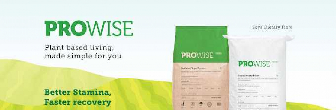 ProwiseIndia Cover Image