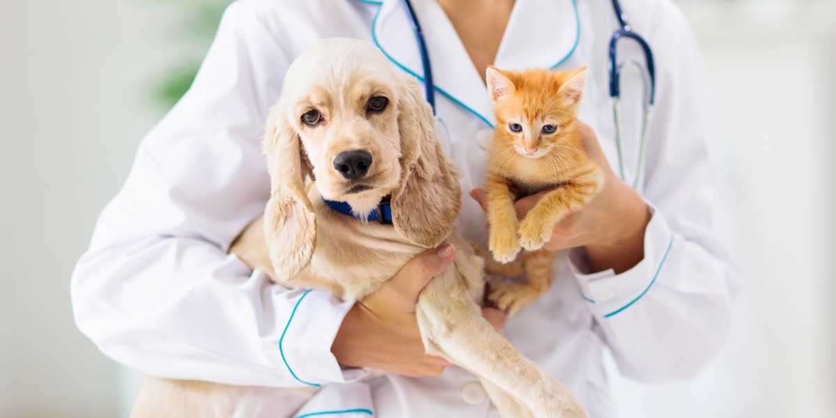 Pet Diabetes Care Market Size, Share & Trends Analysis Report 2025-2033