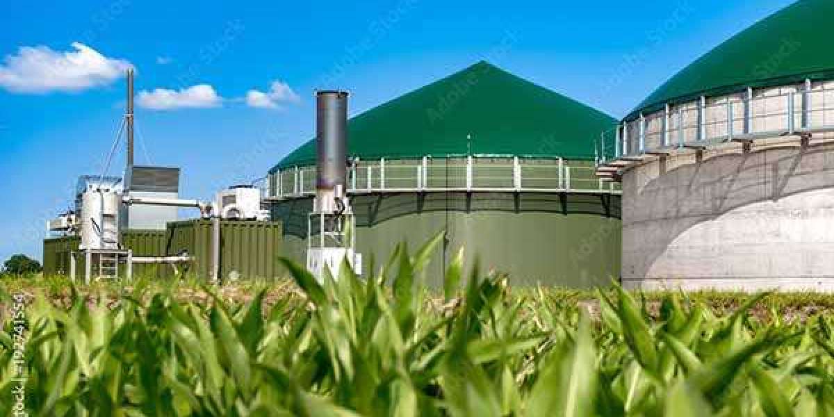 Bioenergy Market Share, Trends, Demand and Forecast 2025-2033