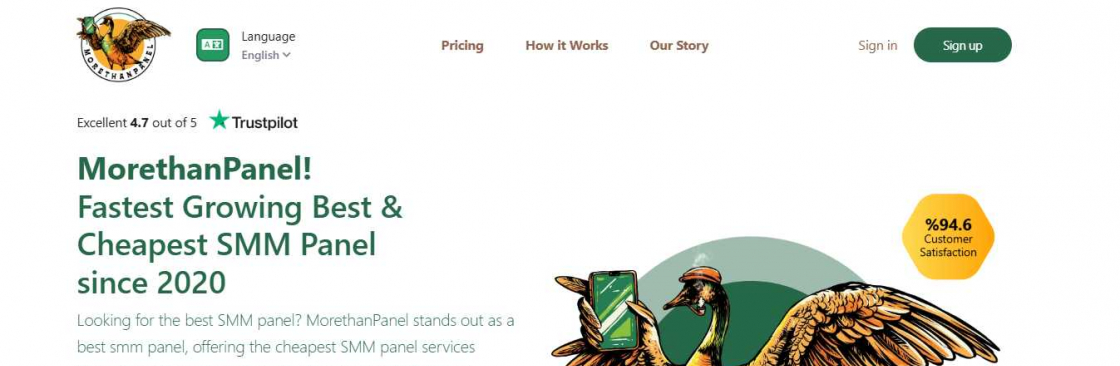 MoreThanPanel Cover Image