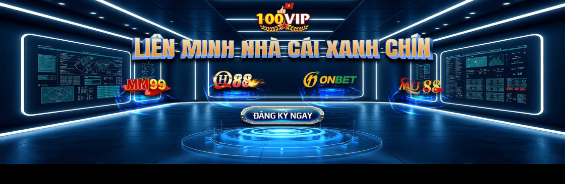 100vipdev Cover Image