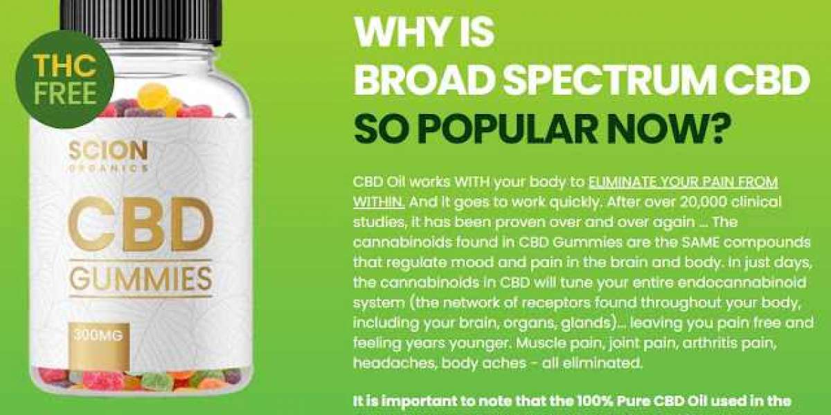 ScionOrganics CBD Gummies: The Safe and Effective Way to Pain Relief