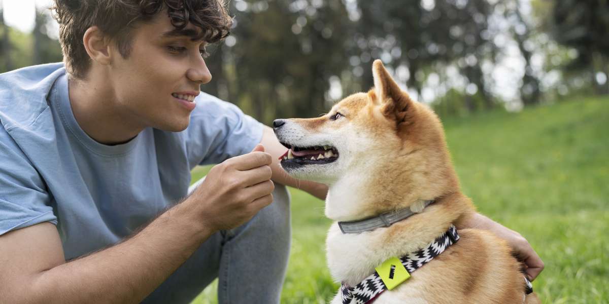 What Makes Dog Care in New Orleans Unique and Essential for Pet Owners?
