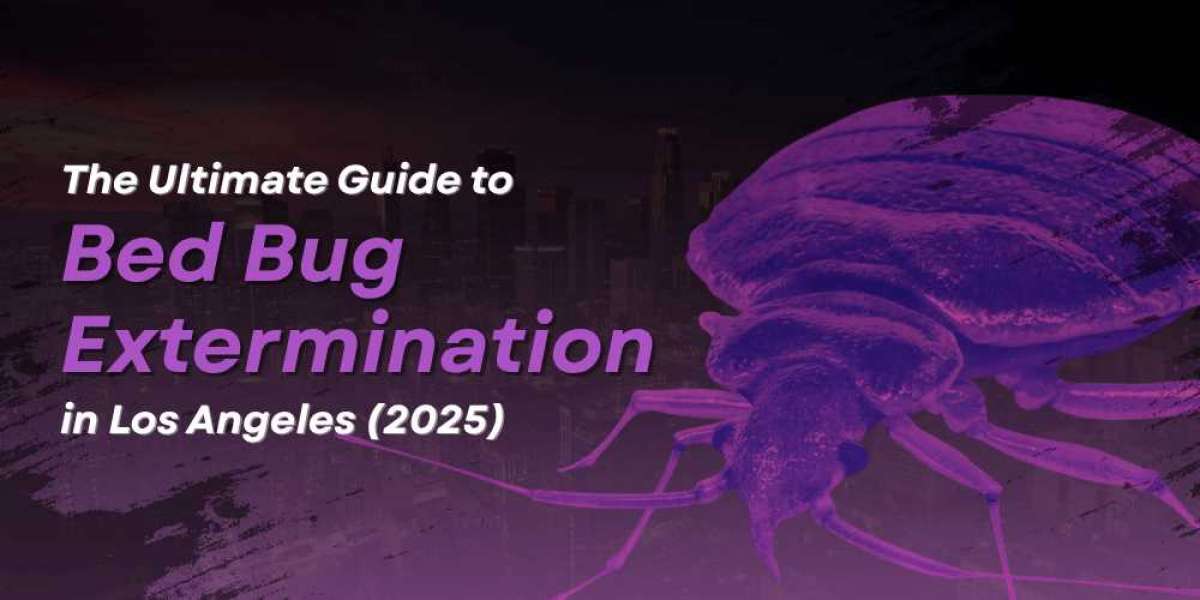 The Ultimate Guide to Bed Bug Extermination in Los Angeles (2025)
