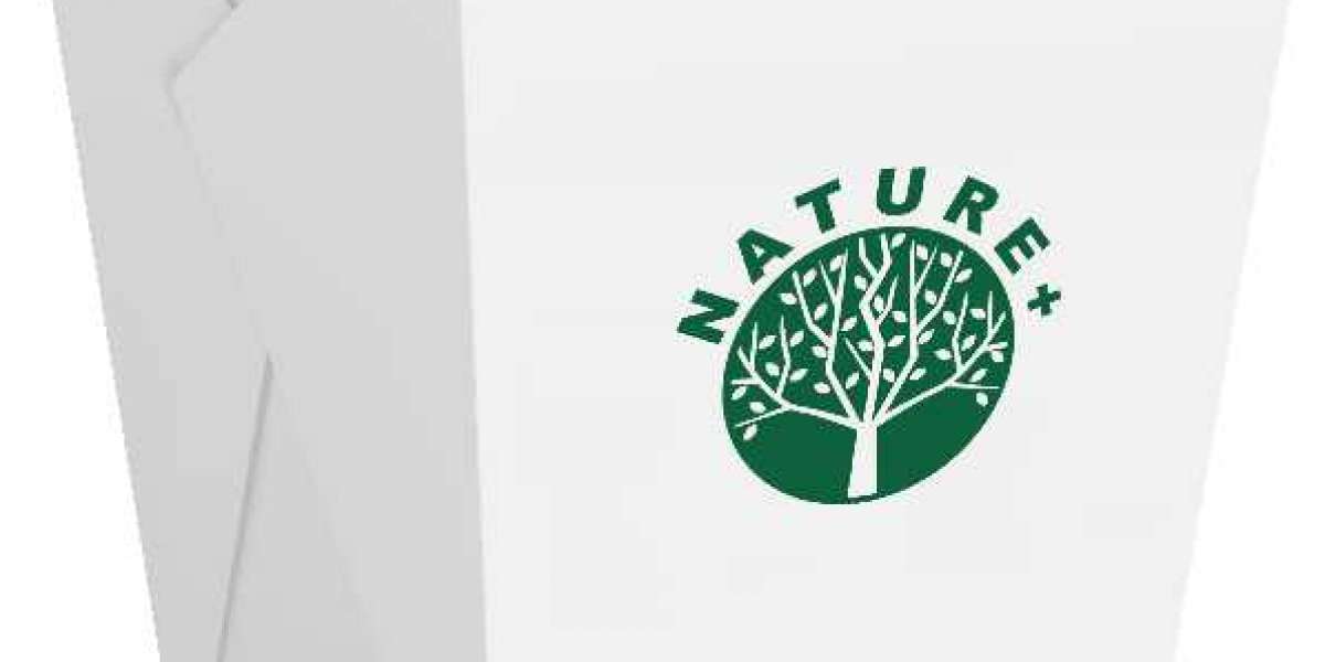 Eco-Friendly Food Containers: The Greener Way to Pack and Serve