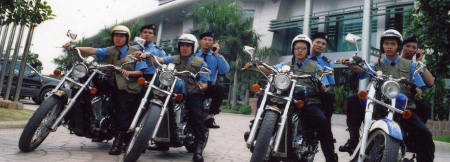 datvietbaove Cover Image