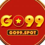 go99spot Profile Picture