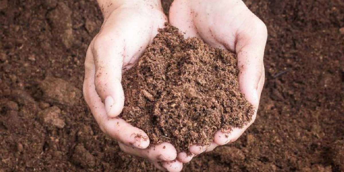Managing Your Lawn In The Warm Weather