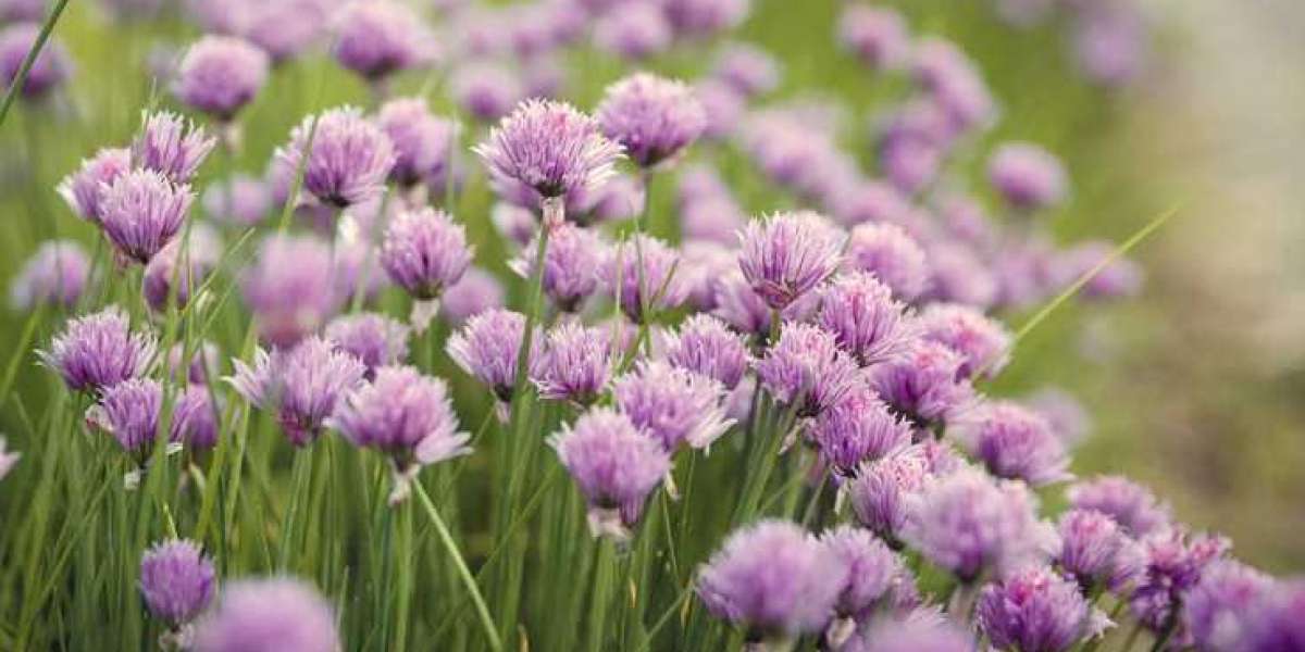 Beautiful Flower Arrangements by the Top Flower Bouquet Near Me – Flower Mart