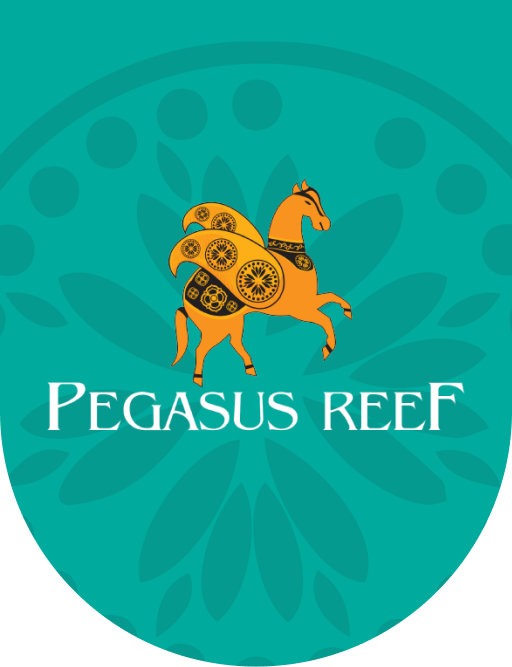 Hotel Rooms & Day Out Packages in Wattala | Pegasus Reef