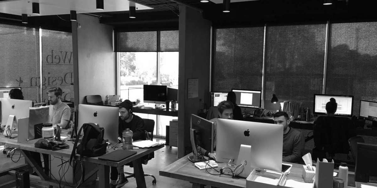 Unlocking Creativity: Discover the Best Web Design in Melbourne
