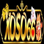 Xoso66vipus Profile Picture