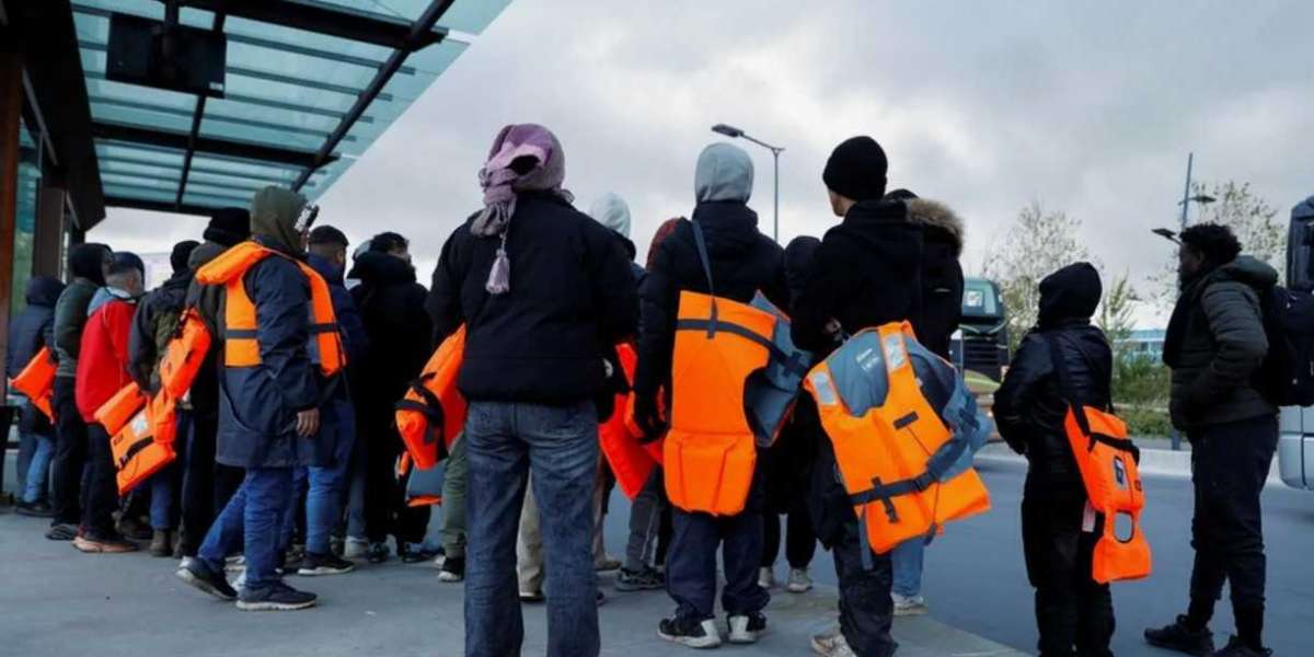 Beyond Borders: How Immigration Solicitors Champions Your Rights in Deportation