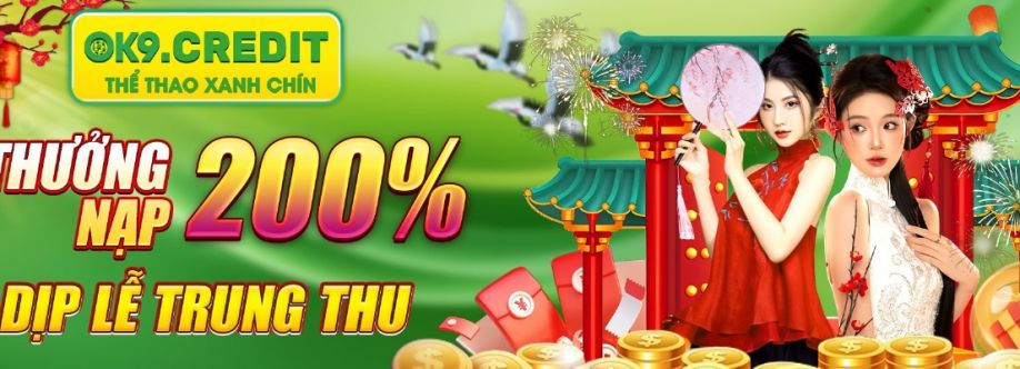 ok9credit Cover Image