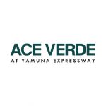 aceverde Profile Picture