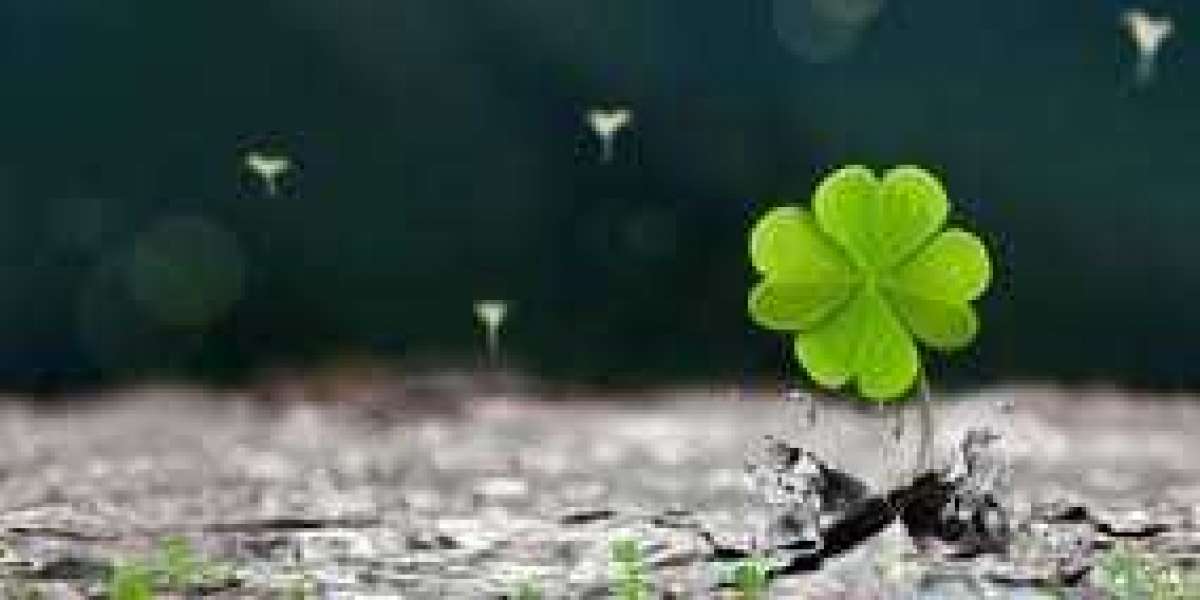 188 Bet mang đến trải nghiệm trực tuyến hiện đại.