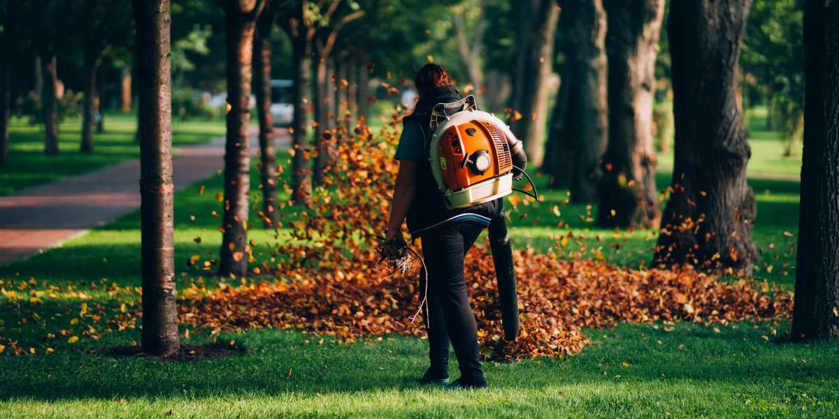 DreamLawn: Providing You with The Ultimate Lawn Care Experience
