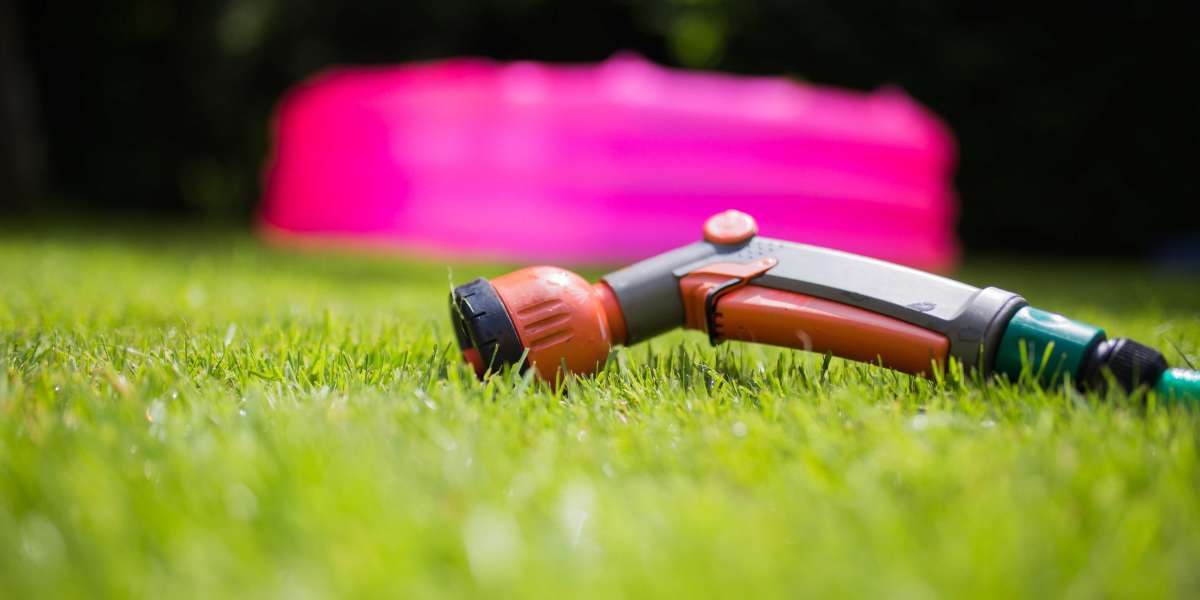 Choose DreamLawn for the Best and Varied Lawn Care Services
