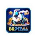 br717org Profile Picture