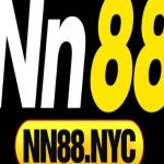 nn88nyc Profile Picture