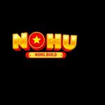 nohubuild Profile Picture