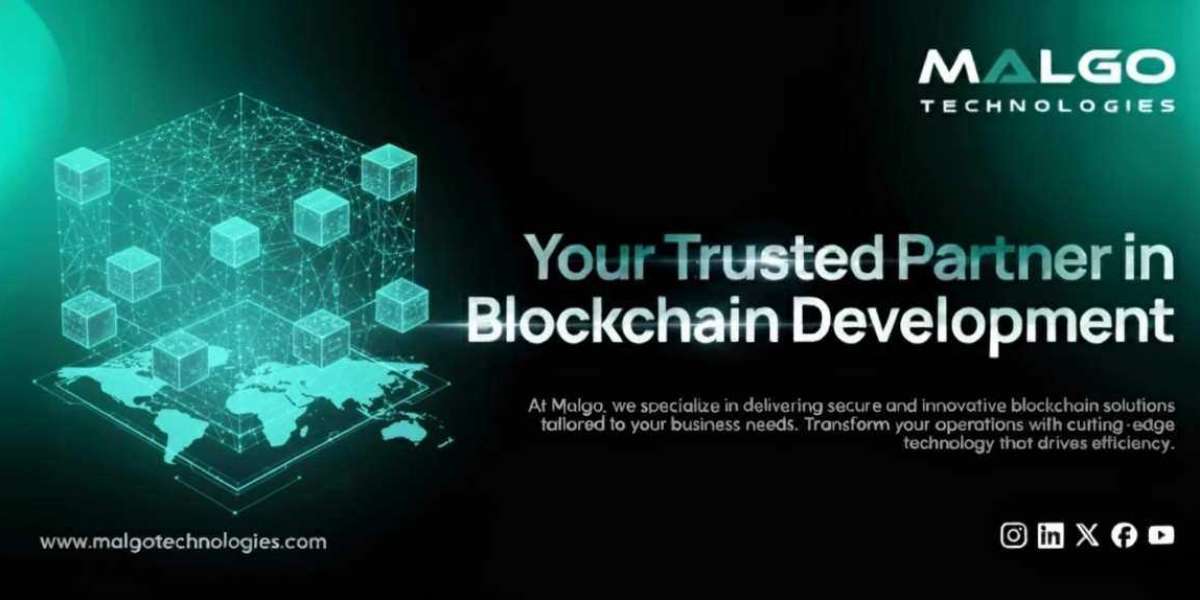 Inside a Blockchain Development Company: How They Build the Future