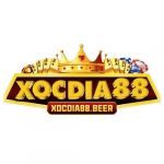 xocdia88beer Profile Picture