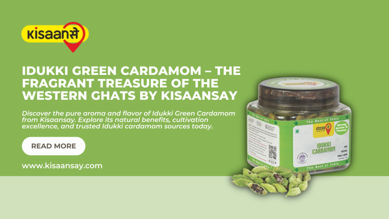 Idukki Green Cardamom – The Fragrant Treasure of the Western Ghats by Kisaansay: kisaansay — LiveJournal