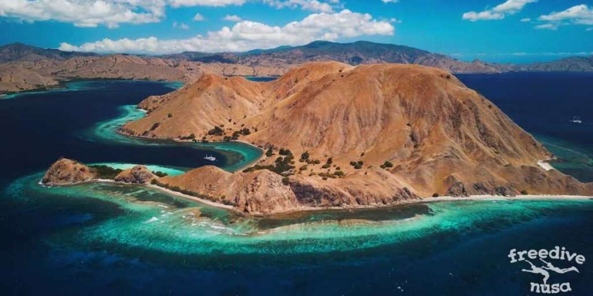 Freediving in Komodo