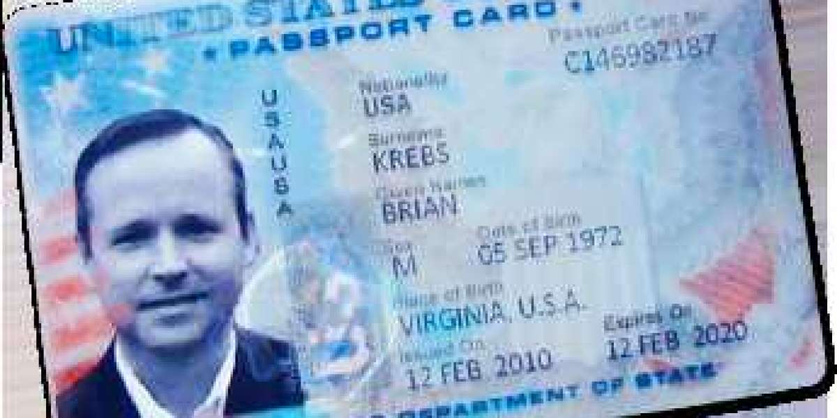 Cczauvr Pro – Advanced Tools and Premium Services for Professionals