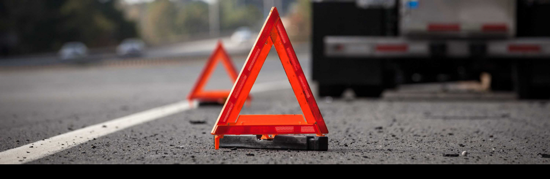 FsProRoadside Cover Image