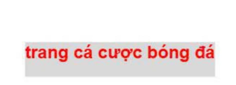 trangccbduscom Cover Image