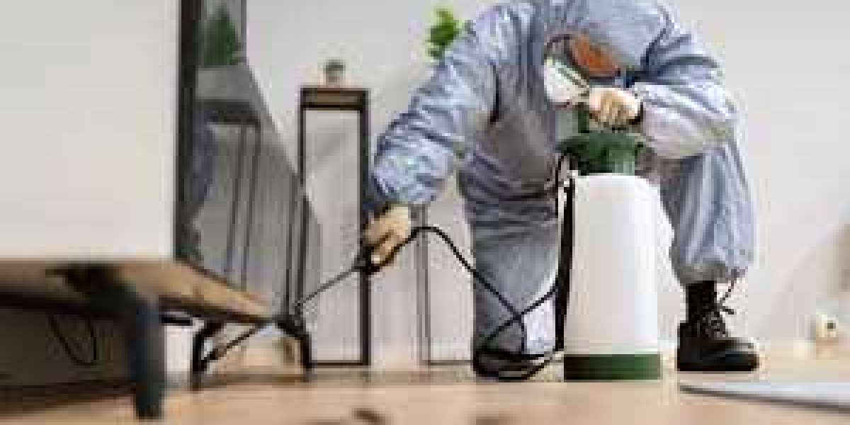 Advanced Solutions for Pest Control Technology in Urban Environments