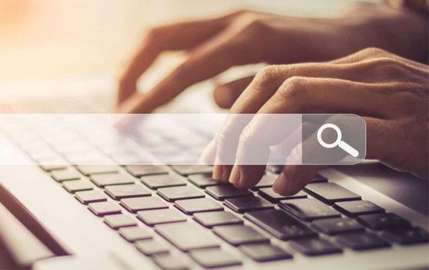 Find Business Details Fast with Company Search