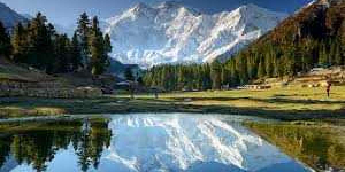 Innovative Travel Tech Trends Shaping Exploration Experiences