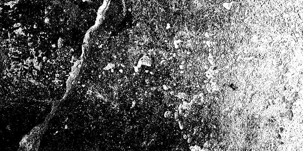 Exploring the Sugar Daddy Scene: A Have a Look at Sugar Daddy Websites In Las Vegas