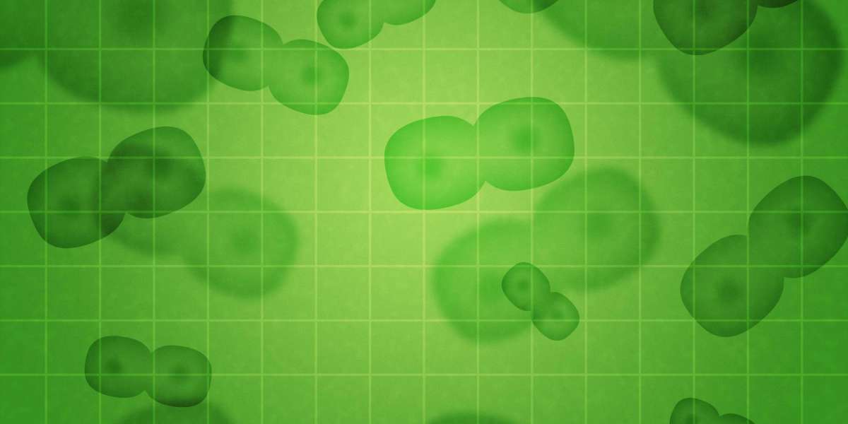 The Rise of Sugar Daddy Sites in the Philippines: A Brand new Era Of On-line Relationships